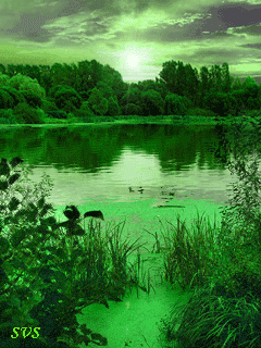 Анимированная открытка Пейзаж озеро