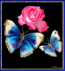 Анимированная открытка Бабочки бабочки анимация