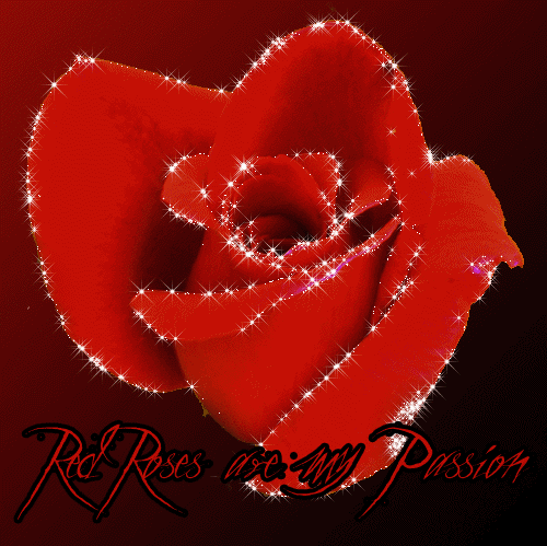 Анимированная открытка Red roses are my Passion