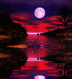 Анимированная открытка Ночь, луна, вода