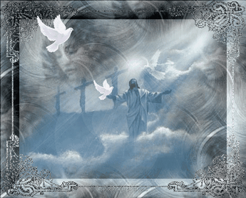 Анимированная открытка Белые голуби в небесах