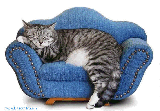 Анимированная открытка лежанка для кошки