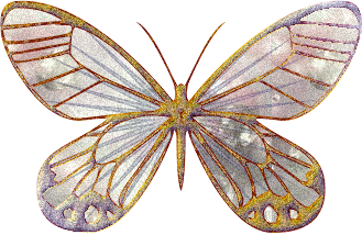 Анимированная открытка Бабочка картинки для droid от supertonic