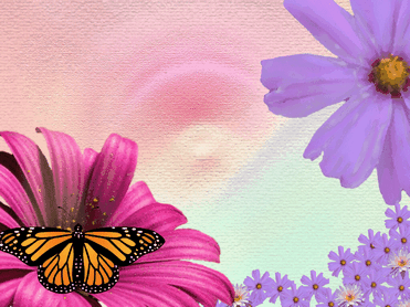 Анимированная открытка ЦВЕТЫ фон цветы