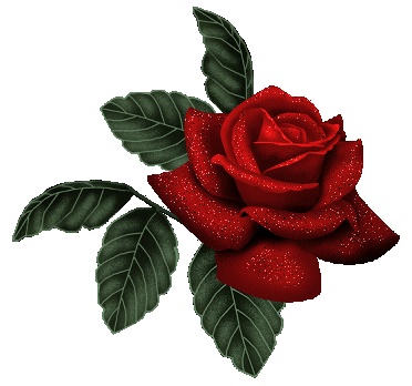 Анимированная открытка Красная роза телефон цветы анимация