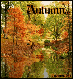 Анимированная открытка Autumn... осенние фоны Твиттер