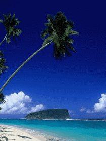 Анимированная открытка Море, пальмы Цены нормальные взволнован
