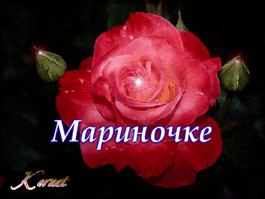 Анимированная открытка Мариночке Слаще цветы мира