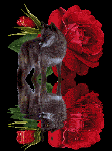 Анимированная открытка Роза и волк волков фэнтези