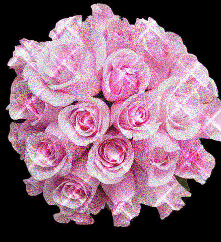Анимированная открытка Цветы красные розы