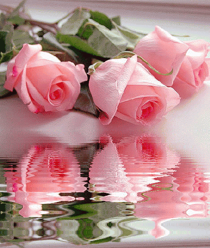 Анимированная открытка Розы розы фото