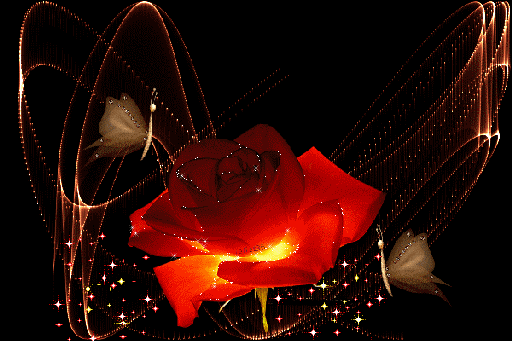 Анимированная открытка Красная мерцающая роза
