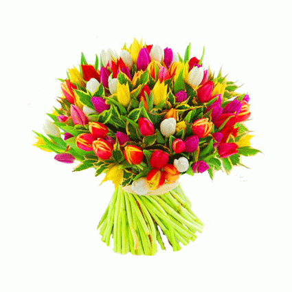 Открытка Букет разноцветных тюльпанов