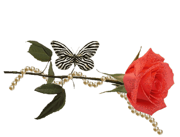 Анимированная открытка Роза малиновая с бабочкой и бусами