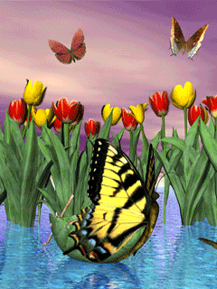 Анимированная открытка Бабочки на цветах