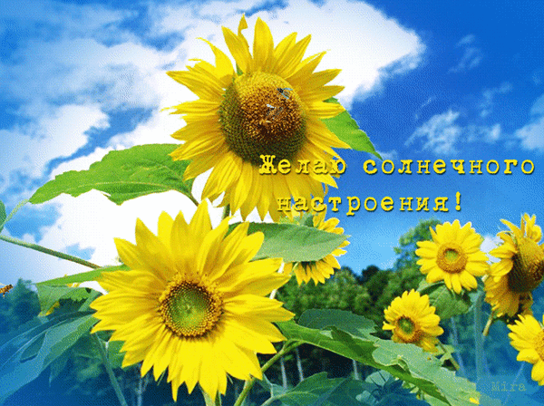Анимированная открытка Желаю солнечного настроения
