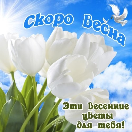 Открытка Скоро Весна Эти весенние цветы для тебя!