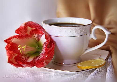 Открытка Чашка кофе на блюдце ломтик лимона и цветок