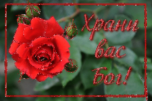 Анимированная открытка Храни вас Бог! роза красная