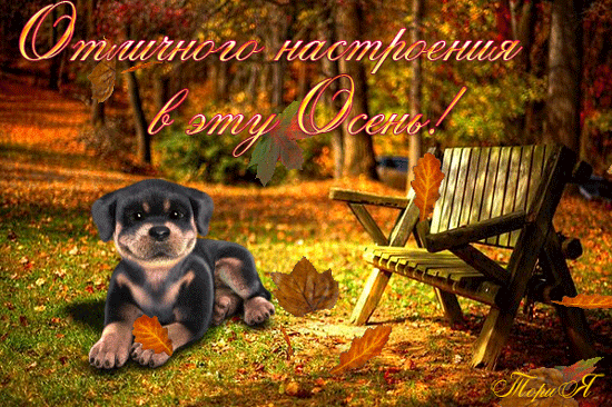 Анимированная открытка Отличного настроения в эту Осень!