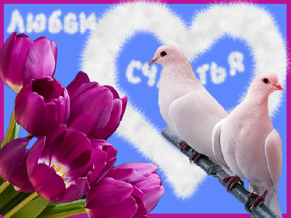 Анимированная открытка Любви счастья значок птицы обои HD