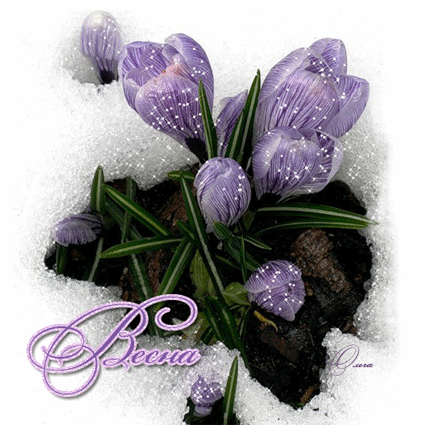 Анимированная открытка Весна 8 марта весна