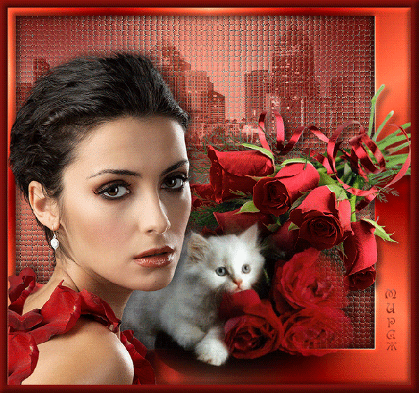 Анимированная открытка Красивая девушка, белый котёнок, букет алых роз