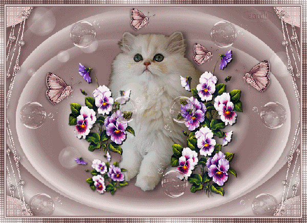Анимированная открытка Котик, бабочки, цветочки