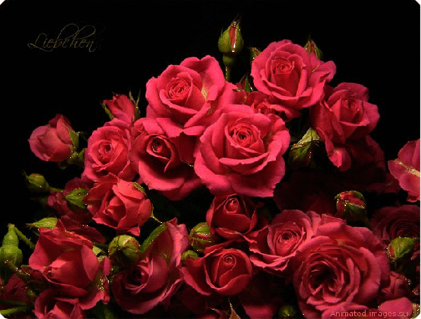 Анимированная открытка Букет роз днем влюбленных