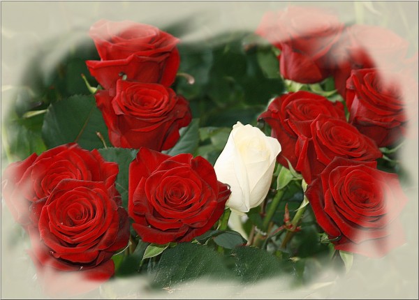 Открытка Букет роз красивые картинки с днем рождения мужчине