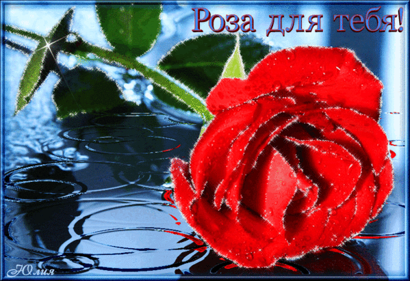 Анимированная открытка Роза для тебя
