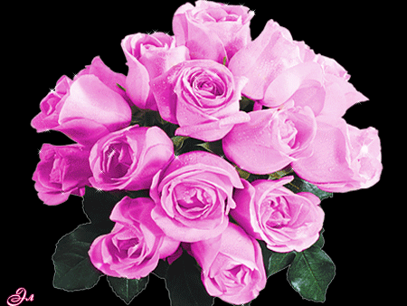 Анимированная открытка Розовые розы рапунцель уже не