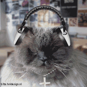 Анимированная открытка кот в наушниках gif