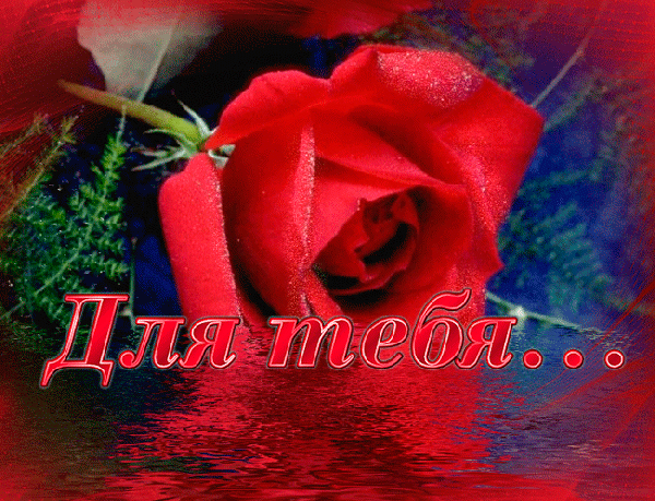 Анимированная открытка Для тебя... миллион алых роз