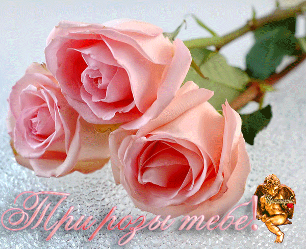 Анимированная открытка Три розы тебе всей души благодарю