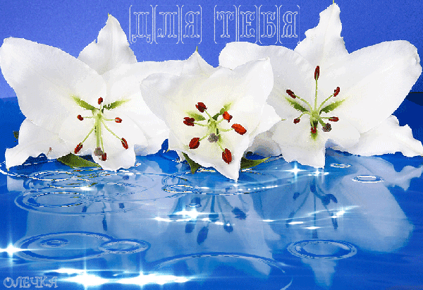 Анимированная открытка Для тебя белые лилии