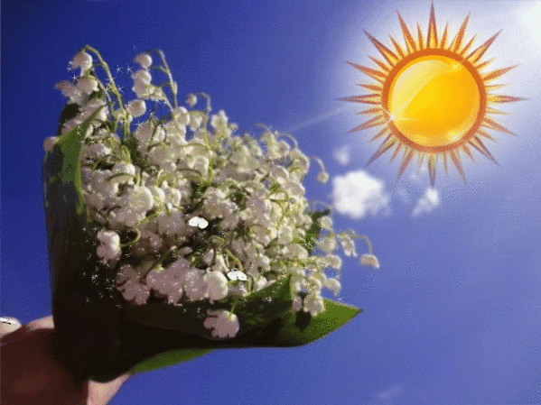 Анимированная открытка Букет ландышей и солнце