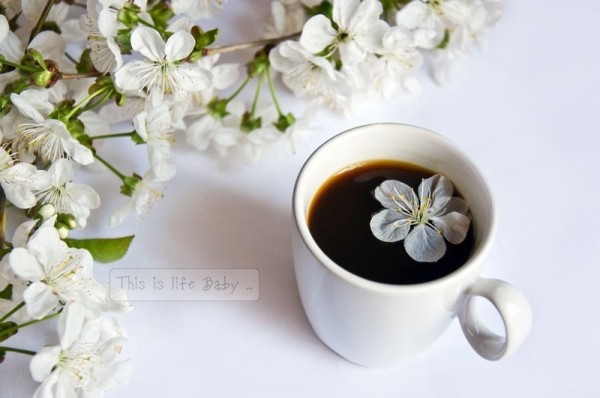 Открытка Чашка с кофе кофе весна