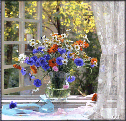 Анимированная открытка Цветы в вазе на подоконнике и две бабочки