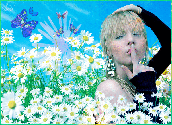 Анимированная открытка Бабочки белые ромашки