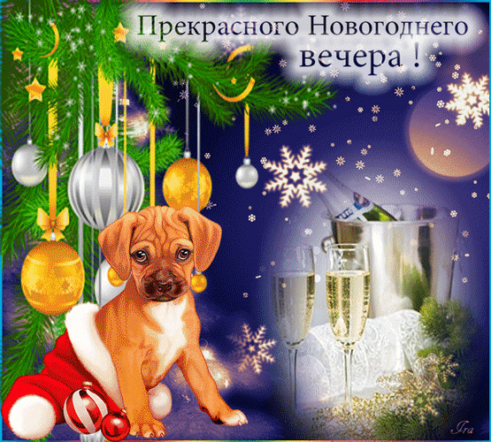 Анимированная открытка Прекрасного новогоднего вечера