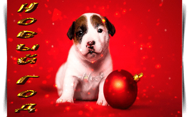 Анимированная открытка Год собаки