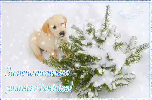 Анимированная открытка Замечательного зимнего денёчка!
