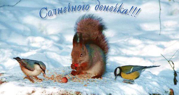 Анимированная открытка Солнечного Денечка!