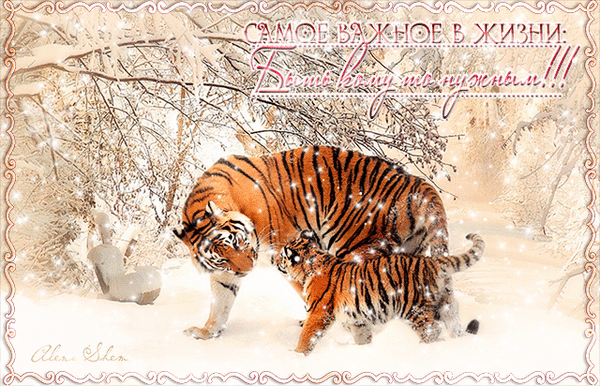 Анимированная открытка Открытка-Тигрица с тигрёнком. замечательного настроения))