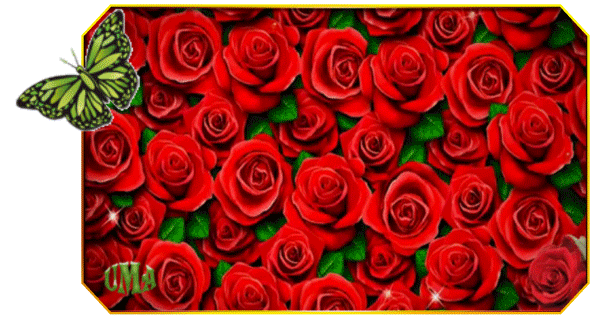 Анимированная открытка Миллион алых роз!