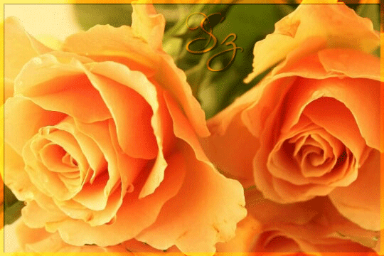 Анимированная открытка Жёлтые розы