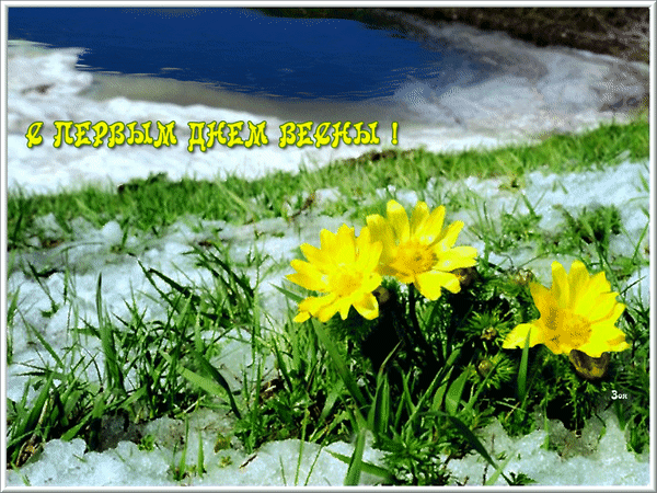 Анимированная открытка С первым днем весны!