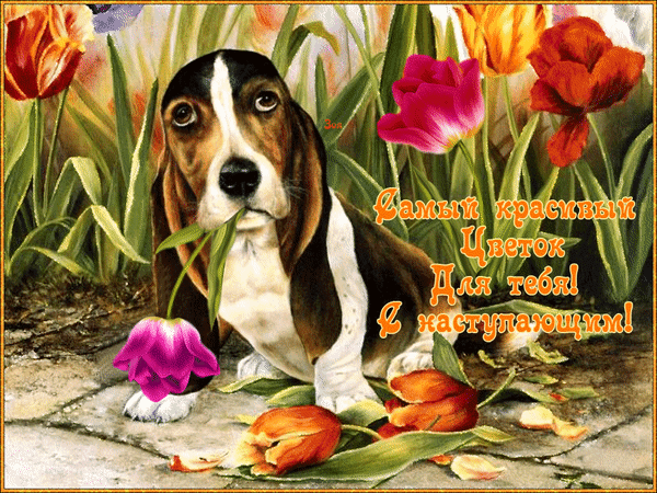 Анимированная открытка С наступающим 8 марта! Самый красивый цветок для тебя!