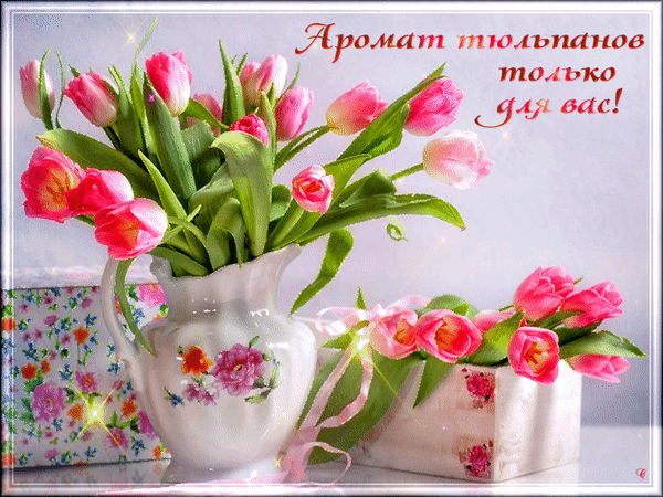 Анимированная открытка Аромат тюльпанов для вас!
